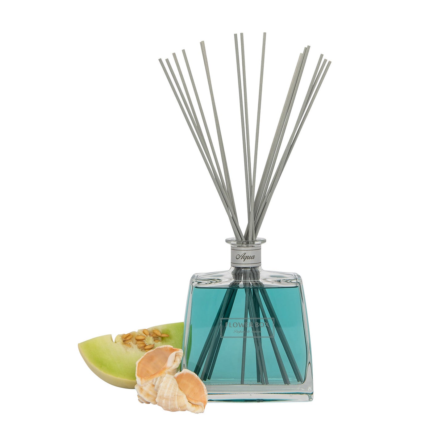 Image of a clear glass diffuser bottle with blue liquid, square in shape, with a narrow neck and a light grey label around the neck. A bundle of long, thin grey reeds protrudes from the neck. In front of the bottle, on a white background, is a shell and slice of melon.