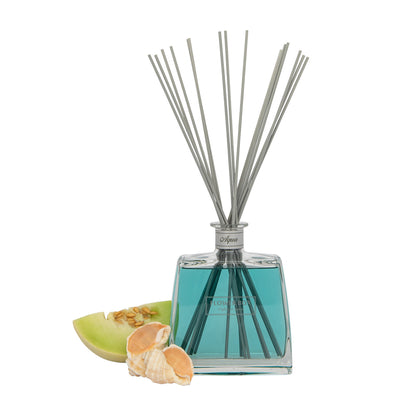 Image of a clear glass diffuser bottle with blue liquid, square in shape, with a narrow neck and a light grey label around the neck. A bundle of long, thin grey reeds protrudes from the neck. In front of the bottle, on a white background, is a shell and slice of melon.