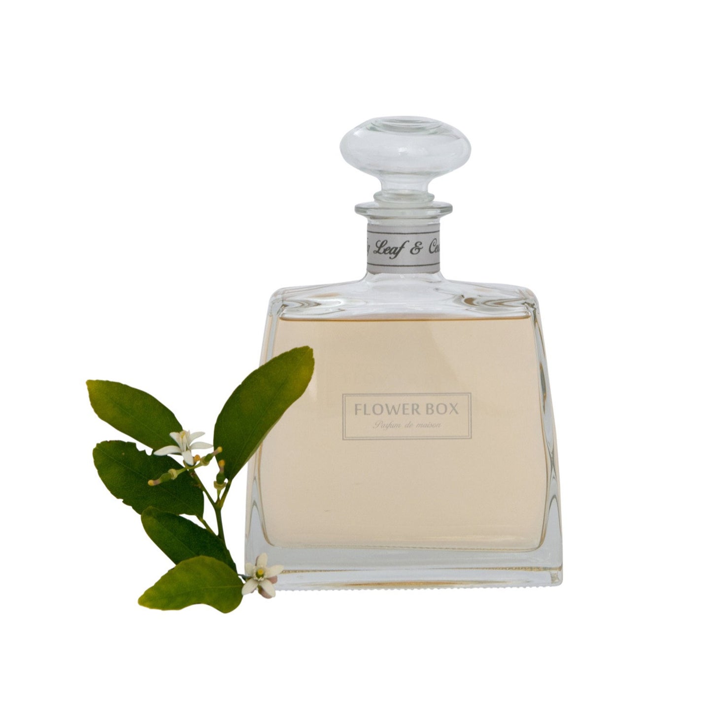 Flower Box Hallmark Diffuser Fig Leaf & Cedar